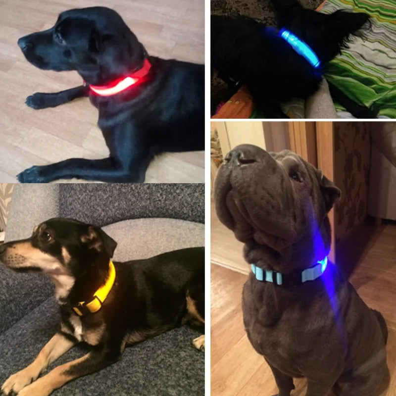 Collar LED Nocturno