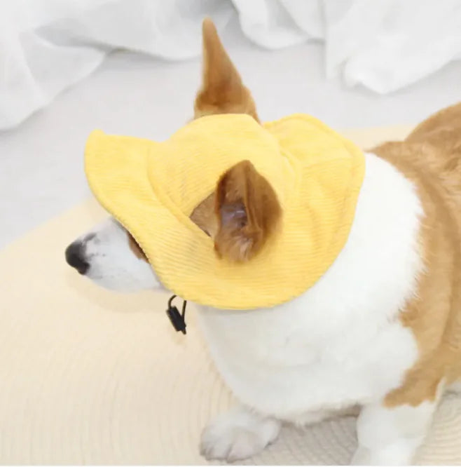 Sombrero para Mascotas