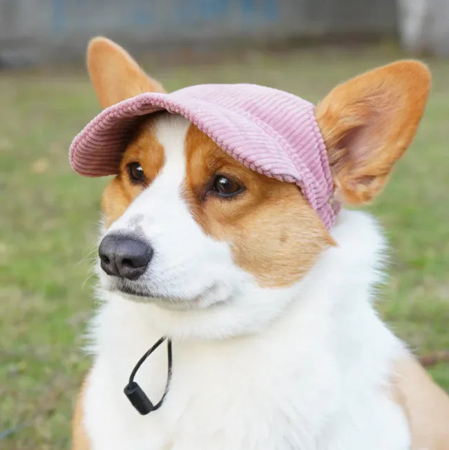 Sombrero para Mascotas