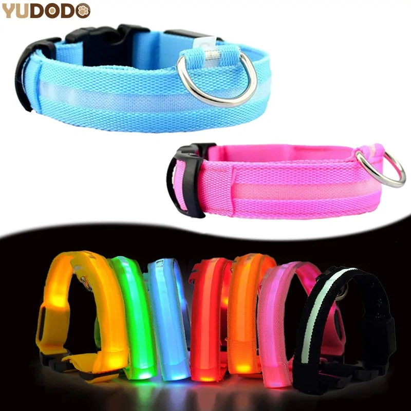 Collar LED Nocturno