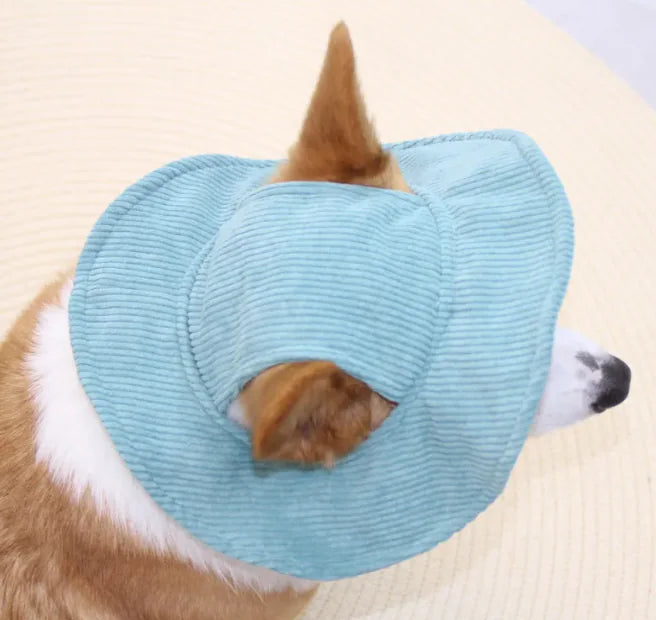 Sombrero para Mascotas