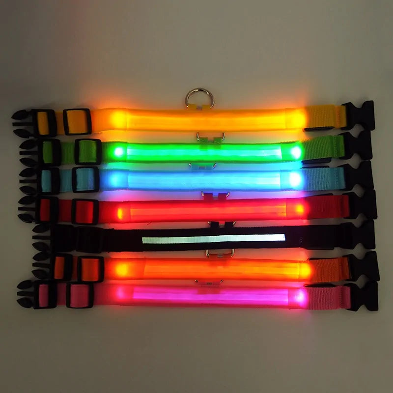 Collar LED Nocturno