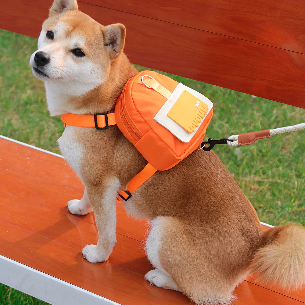 Mochila para Perro